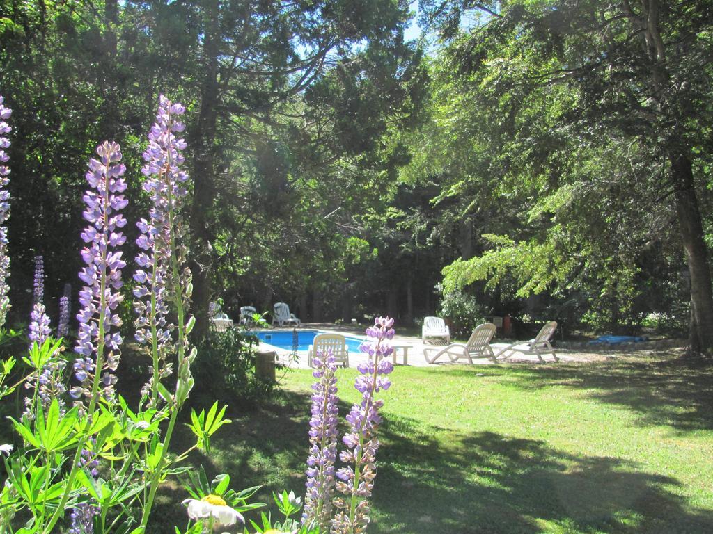 Hosteria Pichi Rincon Вилья-ла-Ангостура Экстерьер фото